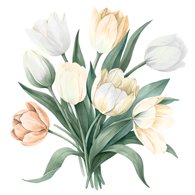 A bouquet of white and cream tulips